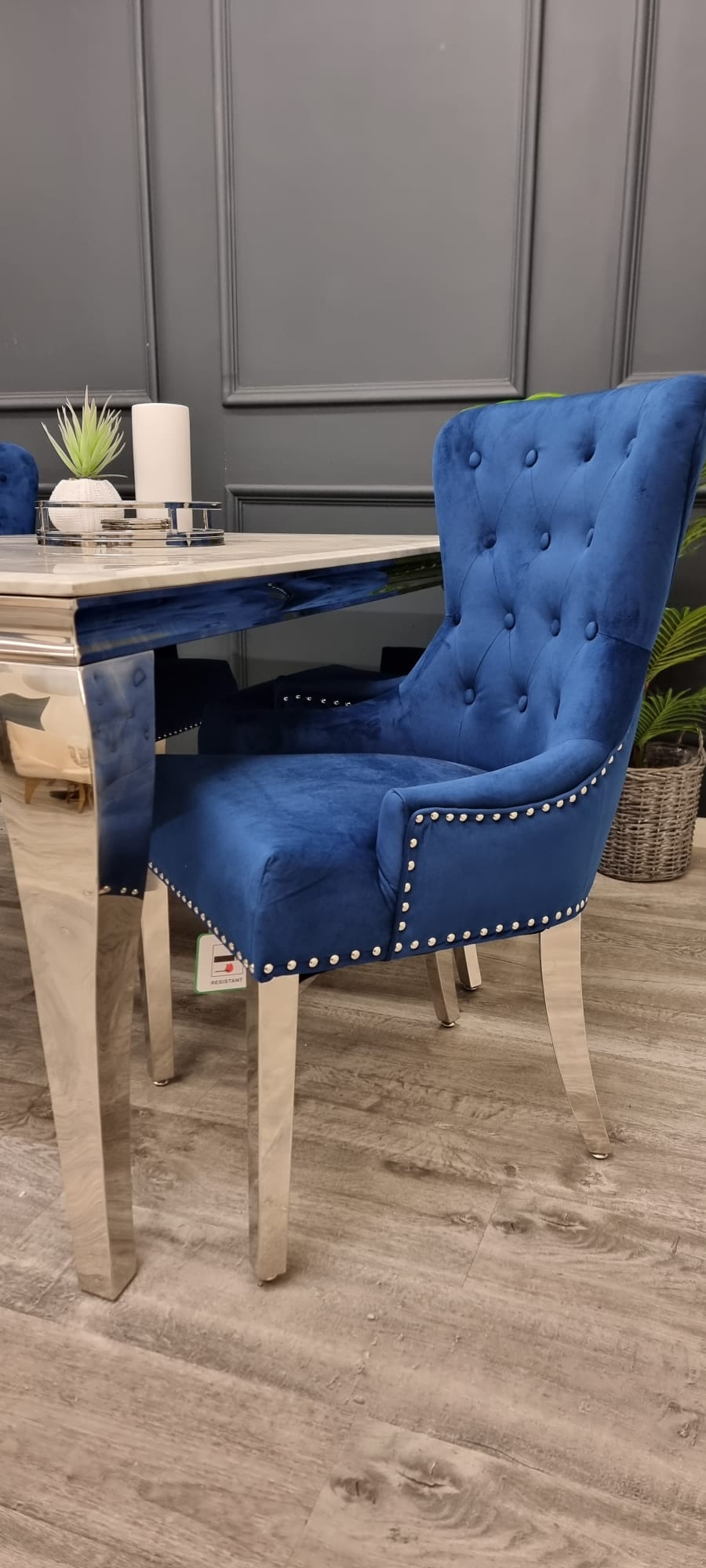 1.5 Megan promo Table with Blue Colour 4 Chair